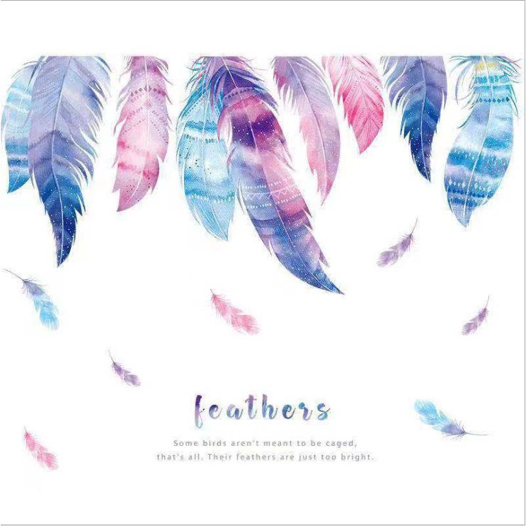 Decal dán trang trí phòng ngủ nhiều màu sắc - lông vũ sáng tạo đẹp và lãng mạn