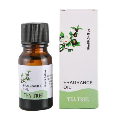 Tinh Dầu Thiên Nhiên 10ml Đủ Hương