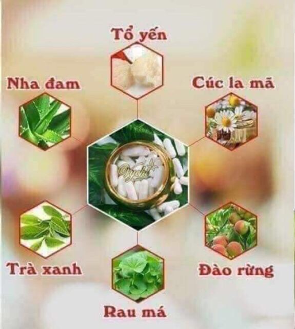 Mặt Nạ Yến Vychi