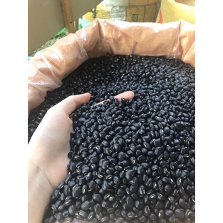 ĐẬU ĐEN XANH LÒNG HẠT TO