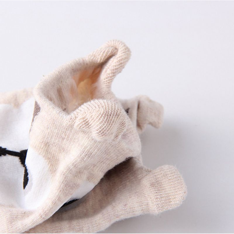 Bộ 5 Đôi Vớ Cotton Cổ Thấp In Họa Tiết Hoạt Hình Chó Mèo 3D Thoáng Khí Phong Cách Harajuku Cho Nữ