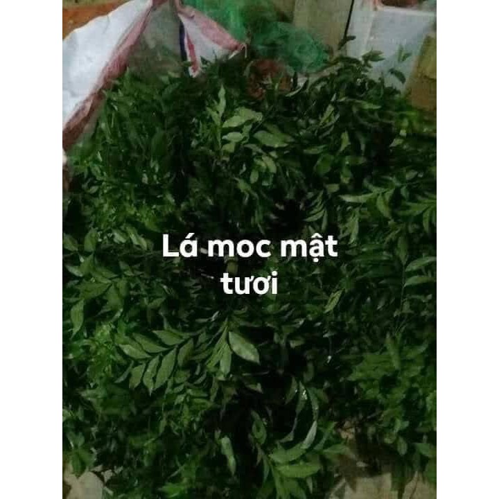 1KG LÁ MÓC MẬT TƯƠI-LẠNG SƠN