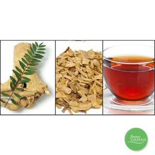 Cây mật nhân (bá bệnh) - F010-1kg