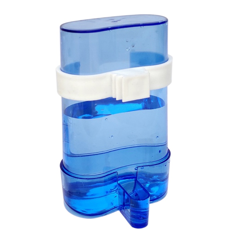 Dụng Cụ Cho Chim Uống Nước Tiện Dụng