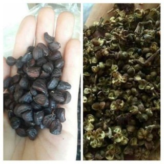Combo 50g hạt dổi nếp rừng + 100g hạt mắc khén rừng