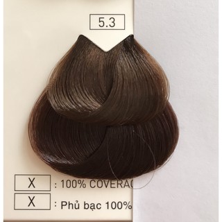 Thuốc nhuộm tóc L'Oreal Majirel Light Golden Brown 5.3 50ml