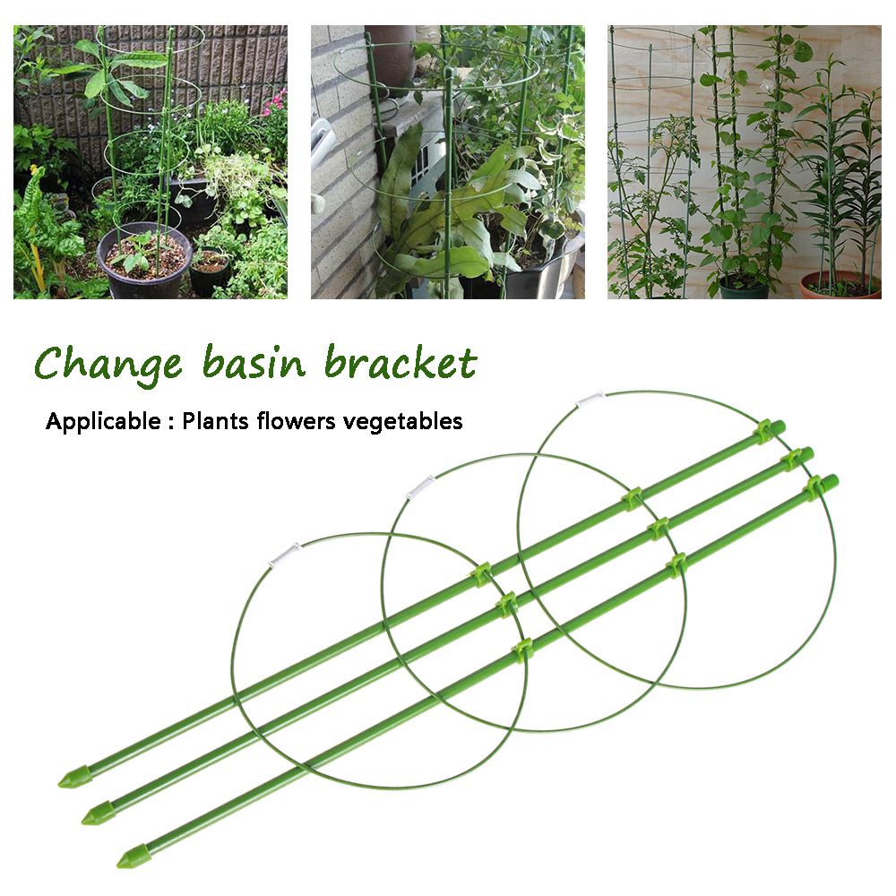 Khung Hỗ Trợ Trồng Cây Dây Leo Hàng Mới Tiện Lợi Dành Cho Vườn Nhà