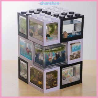Bể cá mini trang trí hồ cá độc đáo