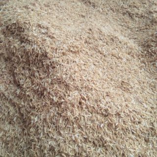 VỎ TRẤU TƯƠI 1KG
