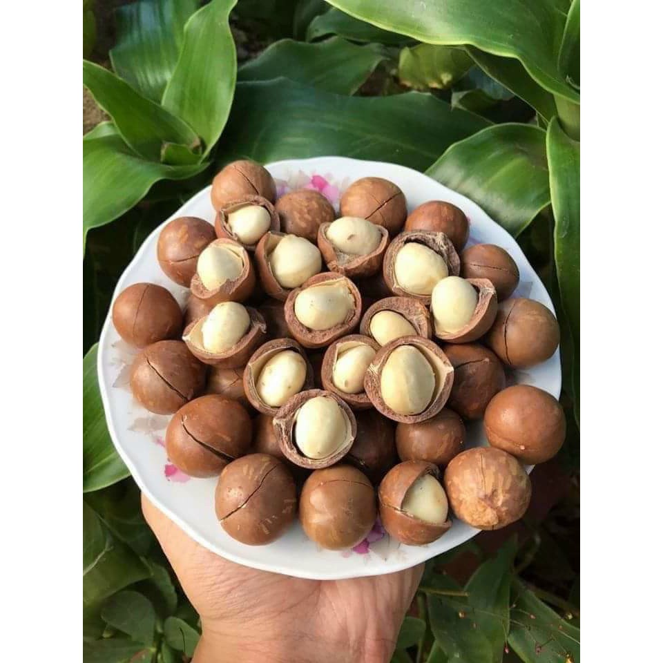 [giá sỉ bán lẻ] hạt macca tây nguyên (hũ pet 500gr)