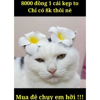 Kẹp hoa sứ hot girl