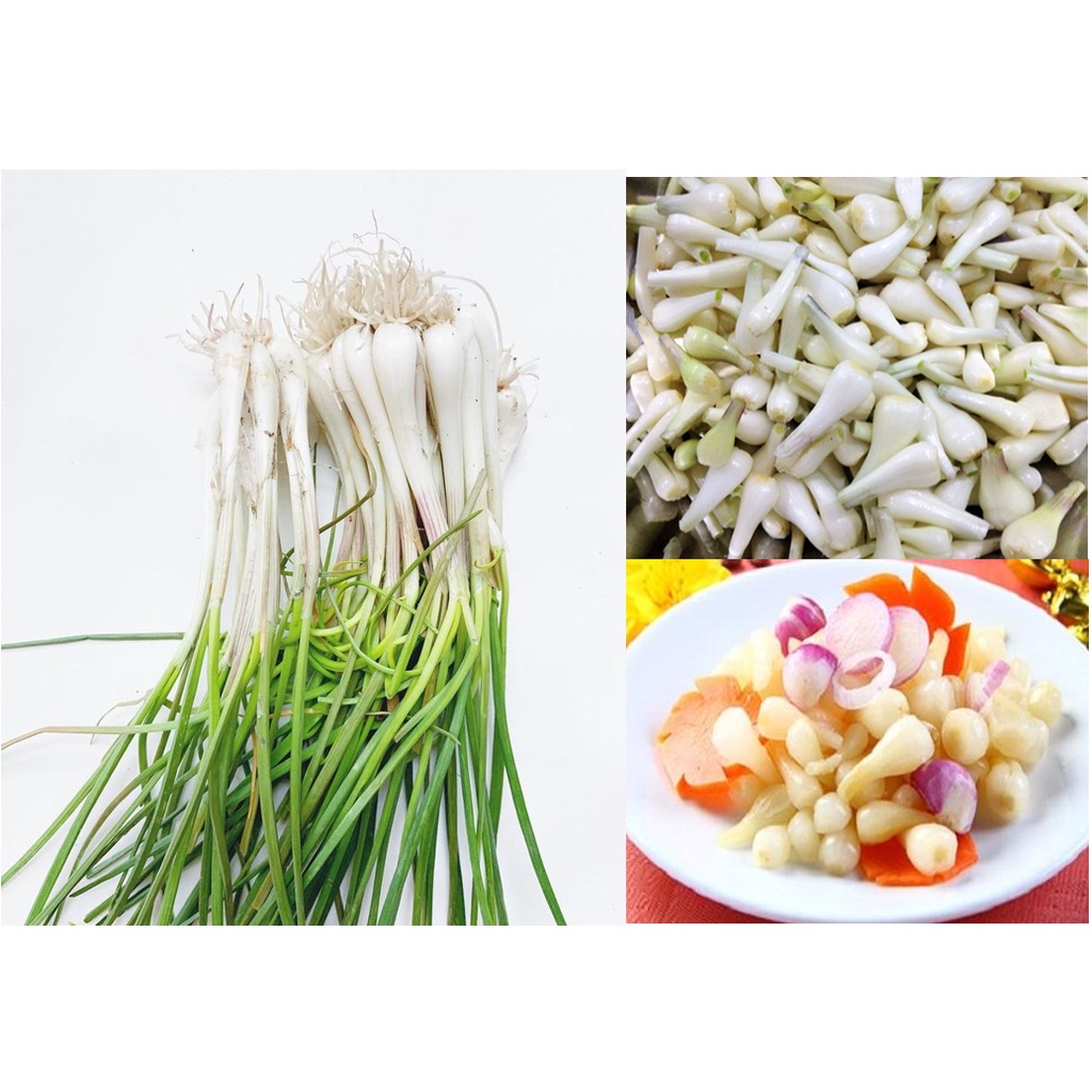 800gr Dưa Kiệu Nhà Làm - Củ kiệu chua ngọt Đồng Tháp- Củ kiệu đường giòn, không chất bảo quản, ngâm đường phèn