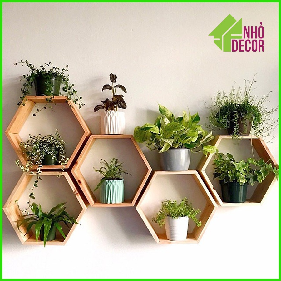Kệ tổ ong lục giác, giá sách tổ ong bằng gỗ thông tự nhiên 100% - Decor nhà tiện dụng, đẹp, sáng tạo