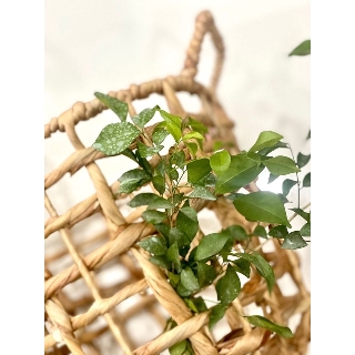 Giỏ đựng đồ lục bình khung sắt đan thưa