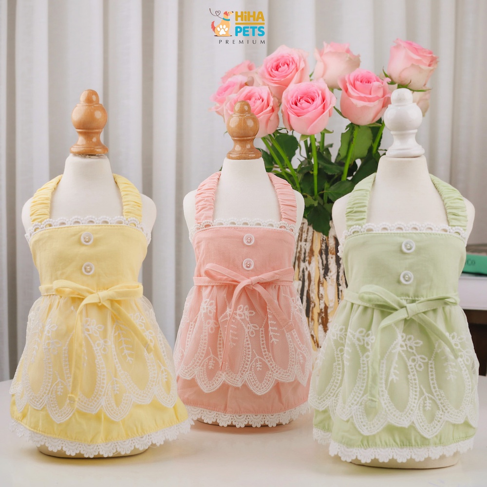 Quần Áo Cho Chó Mèo Hàn Quốc Quần Áo Thú Cưng Thời Trang Cao Cấp Hihapet.