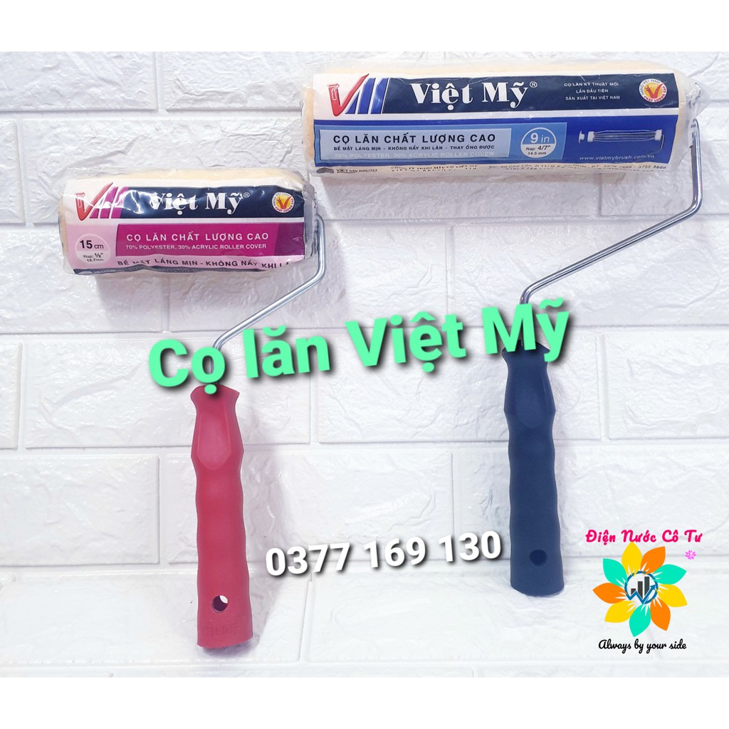 CỌ LĂN SƠN NƯỚC VIỆT MỸ 15CM 21CM