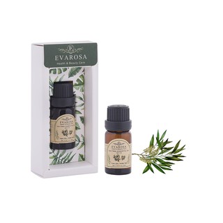 Tinh dầu Tràm Trà EVAROSA chai 10ml