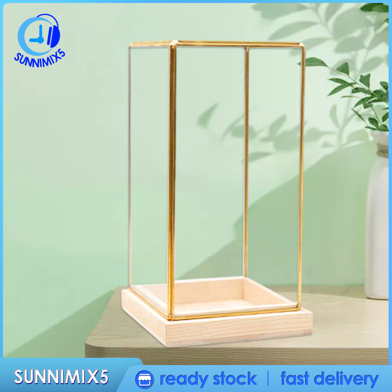 [Trend Technology]Glass Display Case Decorative Cuboid Antique Artwork Showcase Terrarium