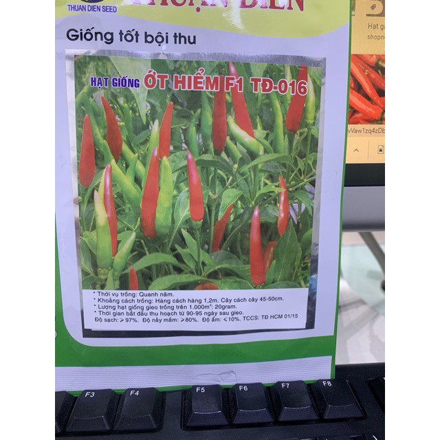 Hạt giống ớt hiểm F1 năng suất cao