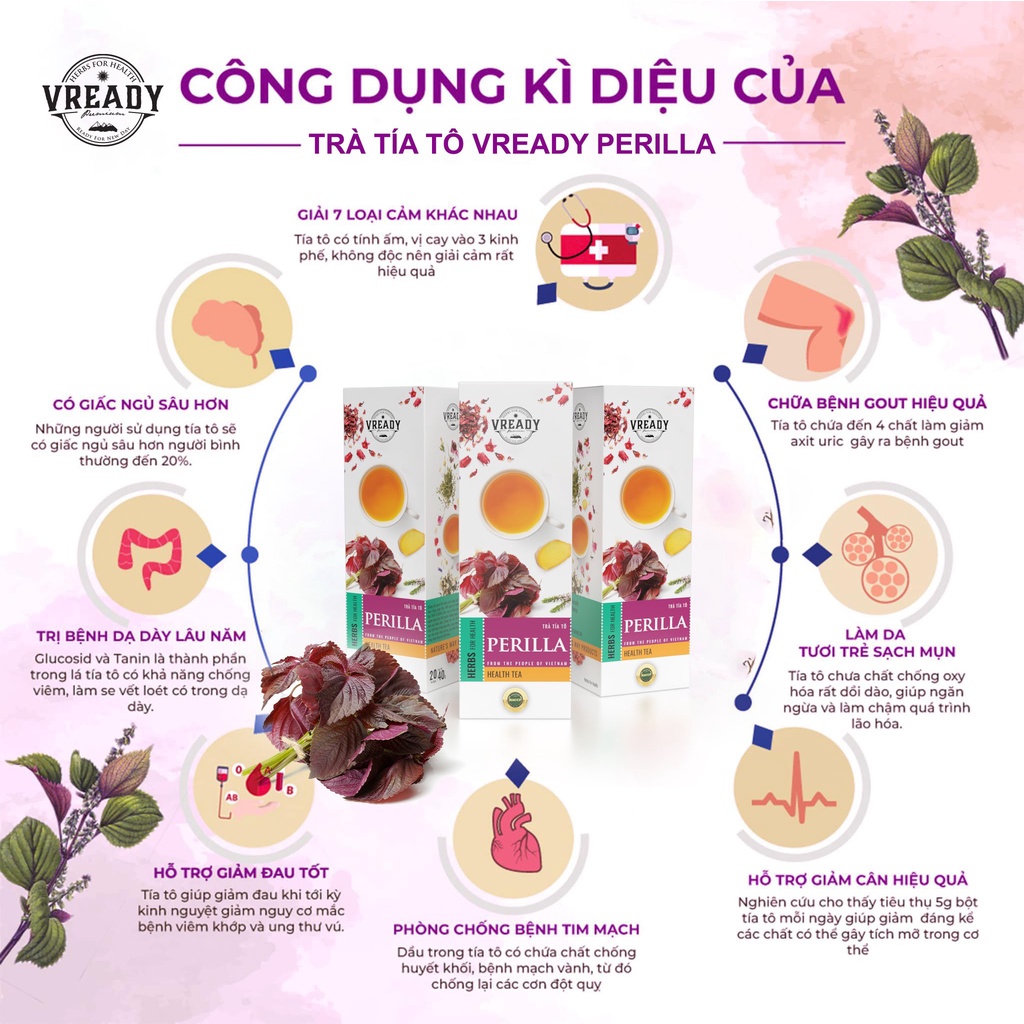 Trà Túi Lọc Tía Tô Vready - Detox, Thanh Nhiệt, Giải cảm, Tăng đề kháng hộp 20 túi