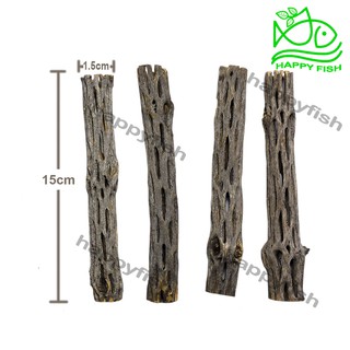 Lũa Cholla Cactus - Lũa xương rồng
