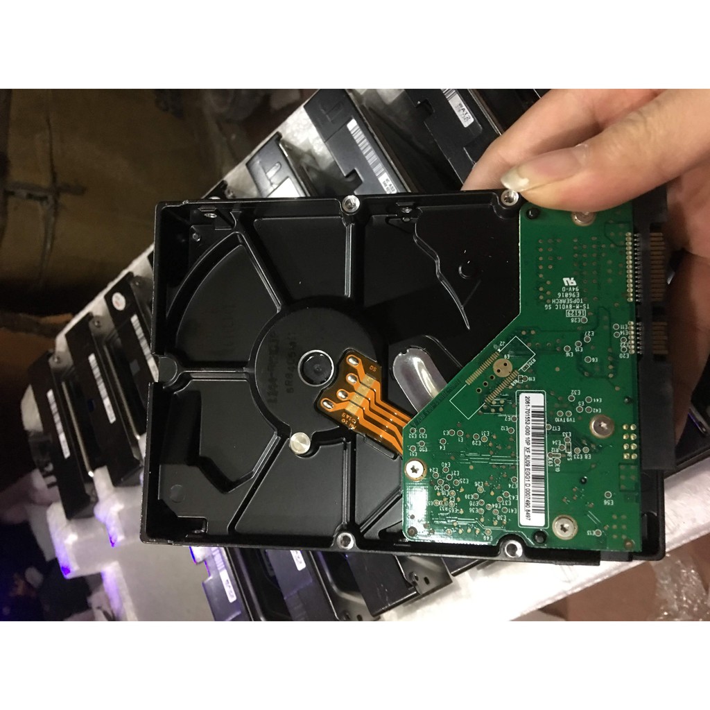 Ổ cứng HDD WD Caviar Blue 160Gb Sata PC | BigBuy360 - bigbuy360.vn