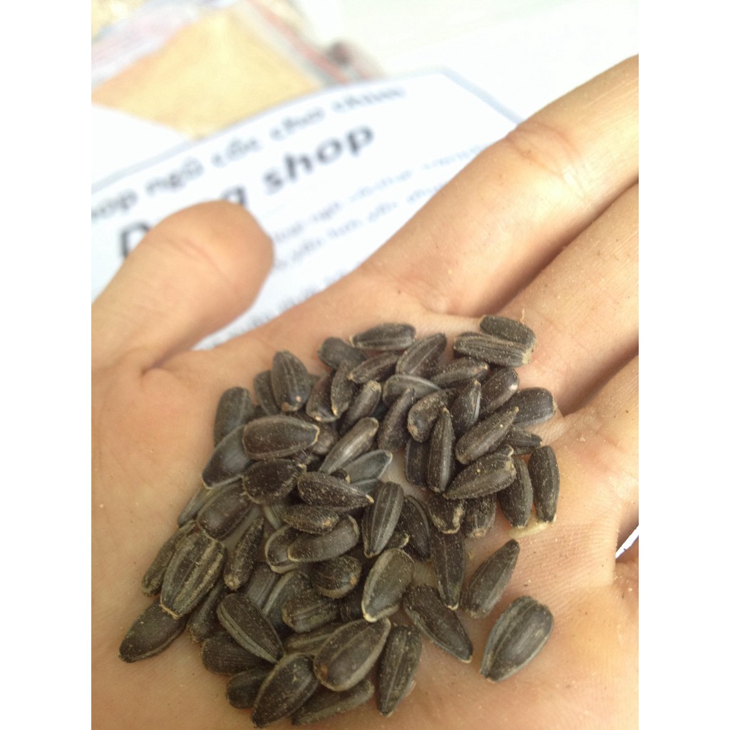 Hướng dương đen nhỏ 1kg