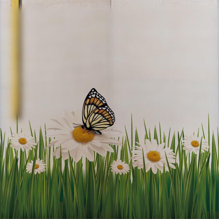 Decal trang trí kính cao cấp hoa bướm ( 60cm x 58cm )