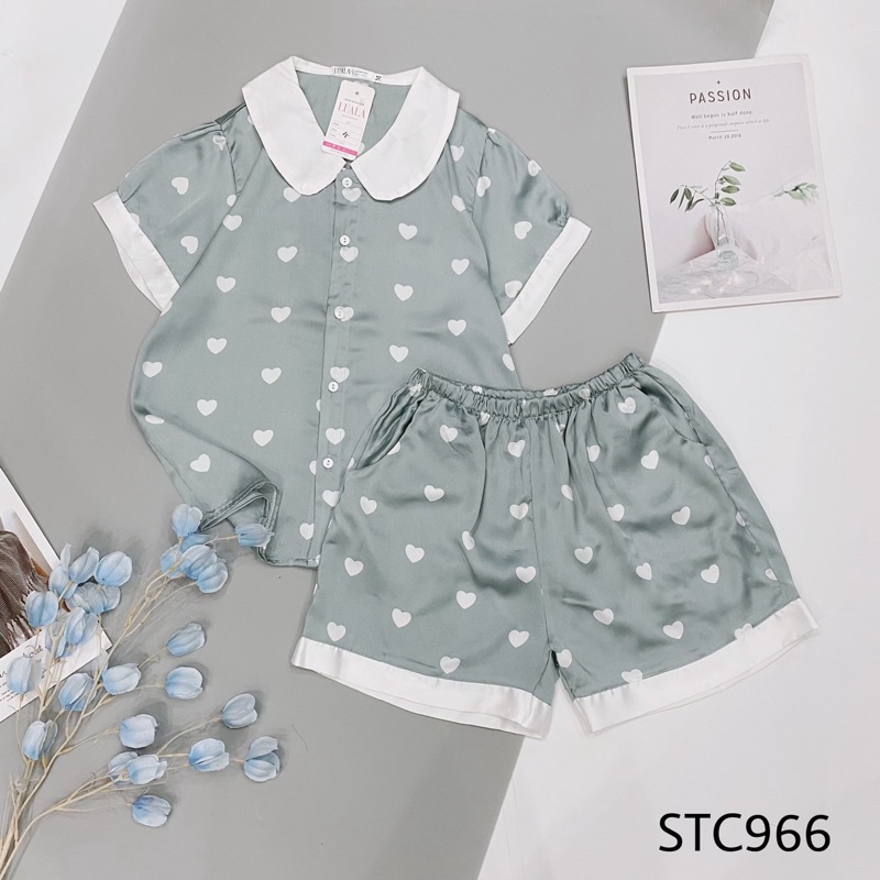 Bộ Ngủ Lụa Satin Đùi Cao Cấp (Hàng Có Size.Ảnh Chụp Thật) | BigBuy360 - bigbuy360.vn