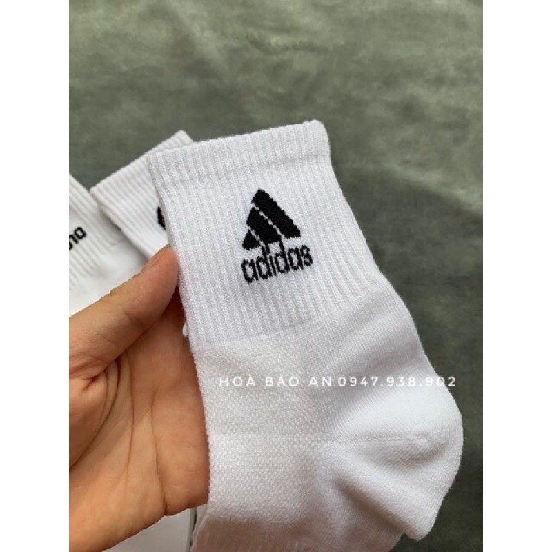 ⚡️Sỉ/lẻ⚡️Tất- vớ dệt kim cao cấp trắng đen hàng loại 1 siêu đẹp