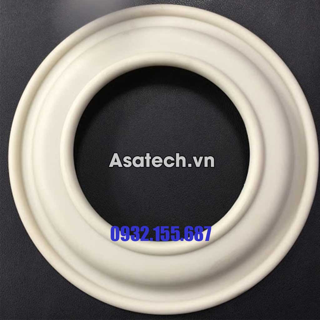 Màng bơm Wilden 3 inch 15-1010-58