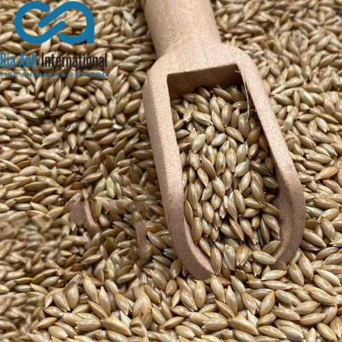 Hạt láng cho chim cảnh Deli Nature Canaryseed - Gói 1KG