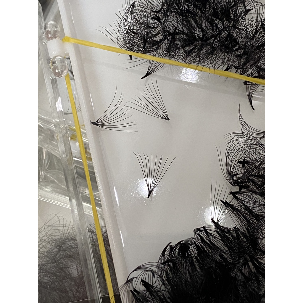 mi fan 10d- dộ cong C-CC-D DÀY 0.05- HỘP 500 FAN_THÚY HÀ