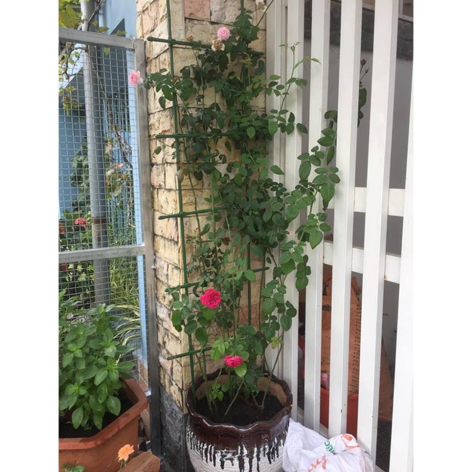 Ống thép bọc nhựa dùng làm cây đỡ hoa hồng, làm giàn cỡ 16mm dài 90cm