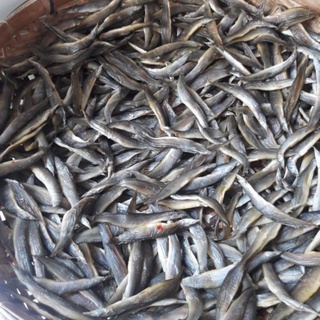 Khô Cá Chạch