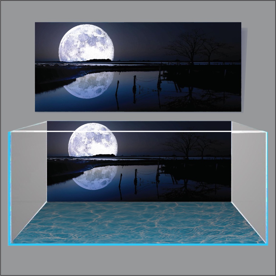 TRANH 3D DÁN HỒ CÁ NEW MOON LIGHT_TRANH LƯNG