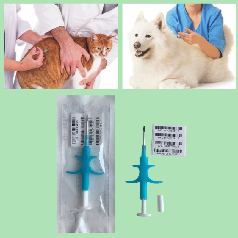 ✿ Bộ 6 Túi Chip Bảo Vệ Thú Cưng