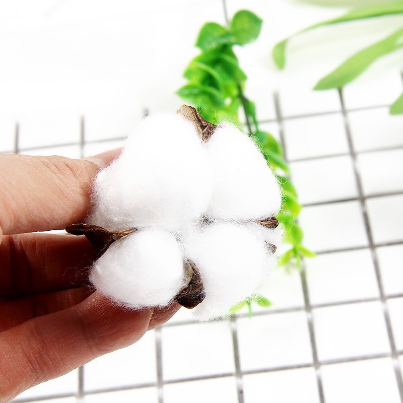 Đạo Cụ Chụp Hình, Chụp Ảnh, Đồ Trang Trí Hoa Bông Gòn E899