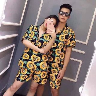 Bộ Hoa Quả đi biển