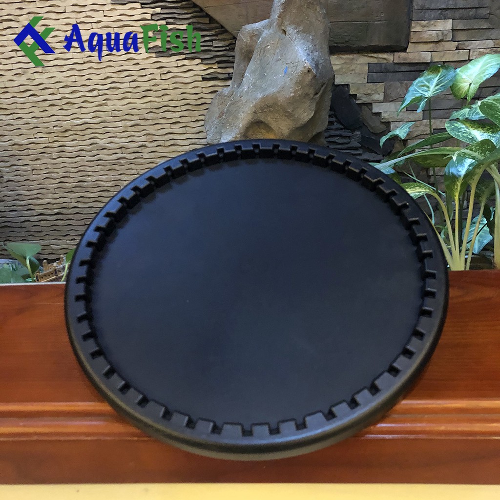 Đĩa Sủi Mỹ SSI - Đĩa Sủi Khí Oxy Cao Cấp Cho Bể Cá Cảnh, Hồ Cá Koi