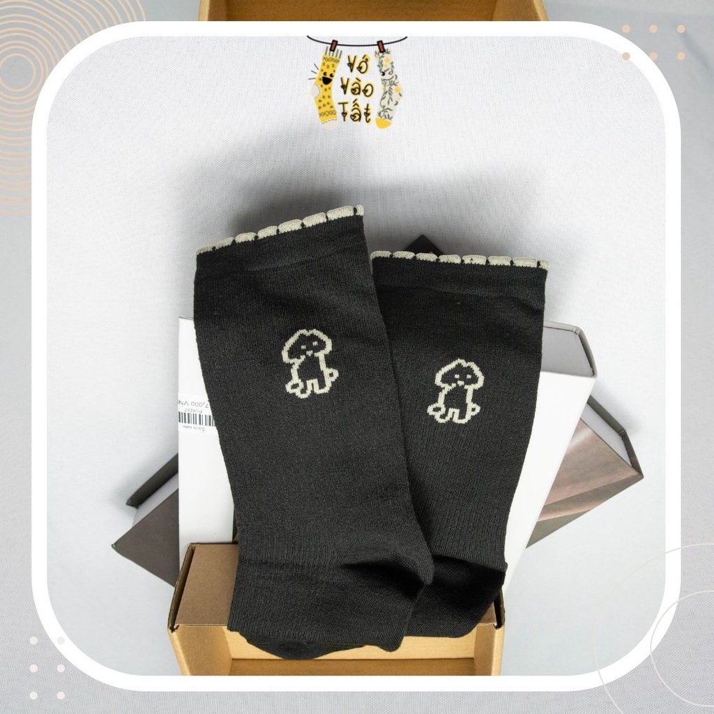 TẤT VỚ CỔ CAO CÚN SỌC CHÌM NHIỀU MÀU