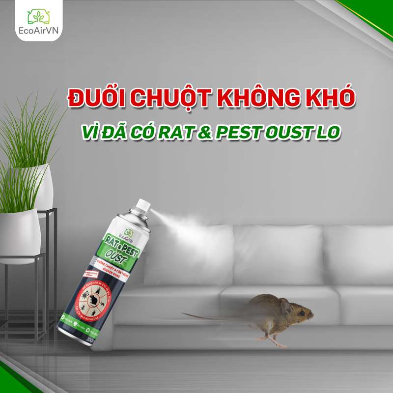CHAI XỊT CHỐNG CHUỘT & CÔN TRÙNG RAT&PEST - TOP SẢN PHẨM ƯA CHUỘNG