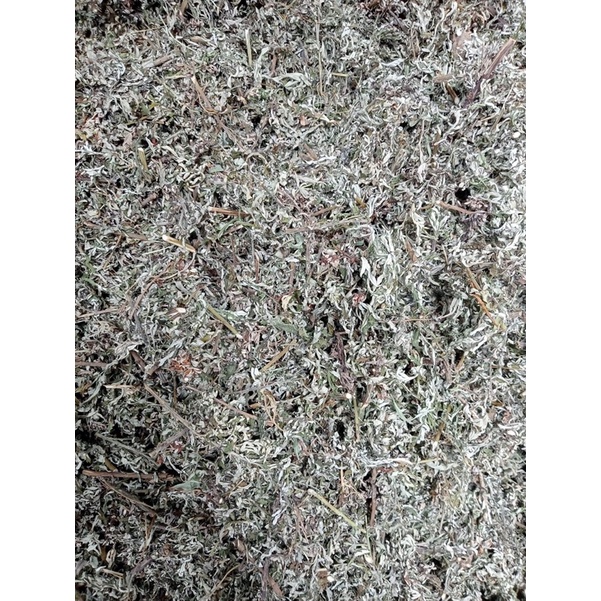 Cây ngải cưu khô nguyên chất đau vai gáy 1 kg lá khô