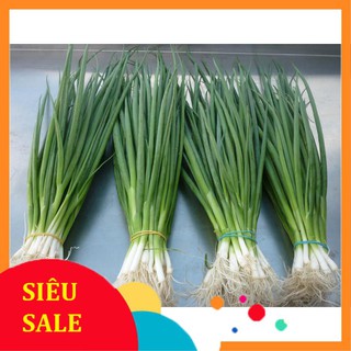 1g Hạt giống Hành lá VIETPHAT