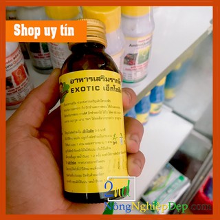 EXOTIC – Siêu Kích Rễ Thái Lan CỰC MẠNH chai sành 100ml