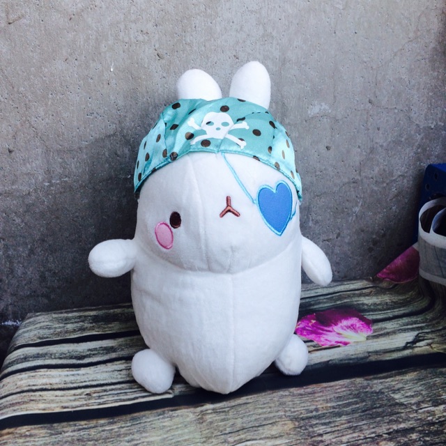 Gấu bông molang size 25-30cm