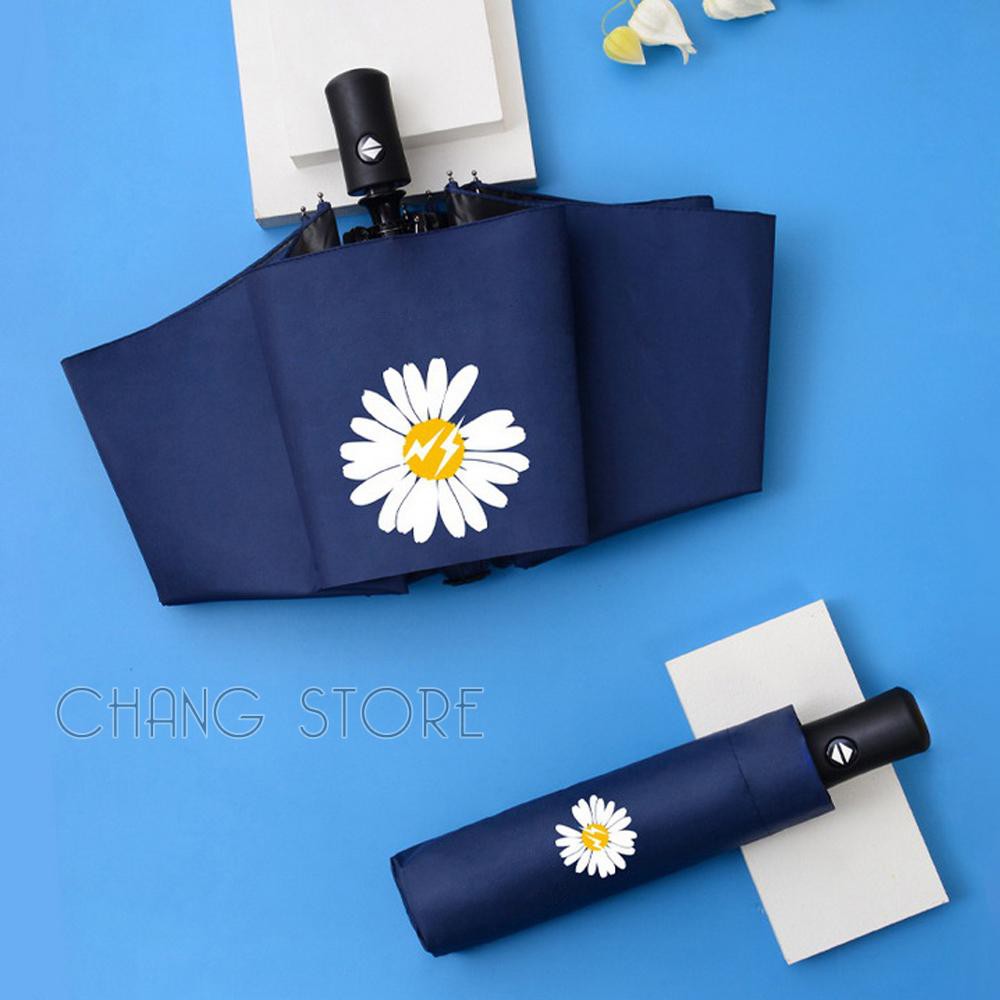 Ô dù Hoa Cúc gấp gọn, chống tia UV, chống nắng chống mưa tuyệt đối