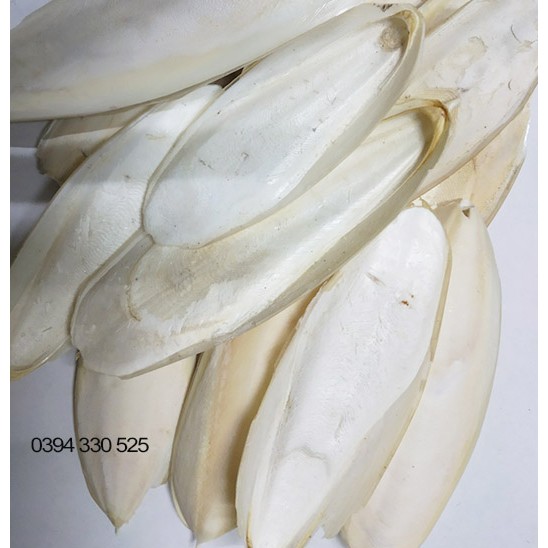 200g Nang Mực ( Mai Mực ) Khô Xuất Khẩu Làm Thức Ăn Cho Chim Yến Phụng, Vẹt, Két,...Size Nhỏ 5-15cm