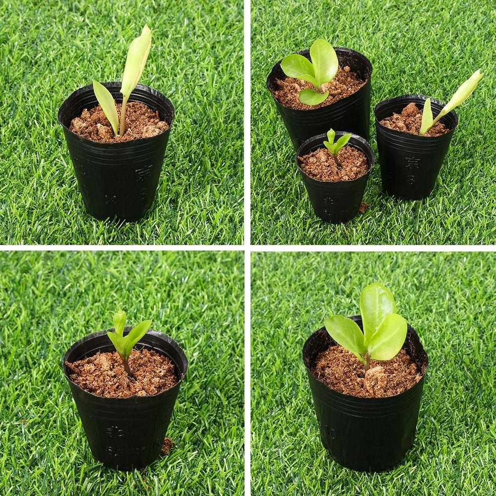 DORAW 50pcs Seedling-raising Bag Garden Supply Seedlings Lift Bags Potted Plant Grow Flowers Pouch