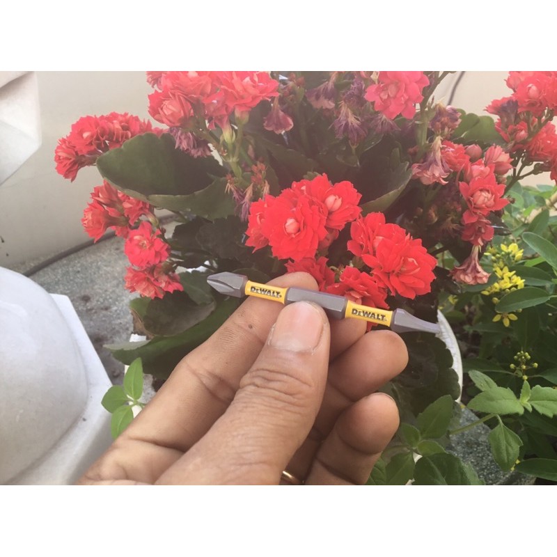 Mũi Vít DeWalt 2 Đầu Ph2 70mm